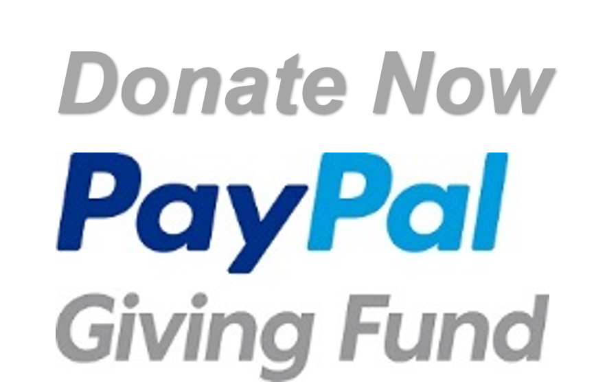 PayPal giving fund logo